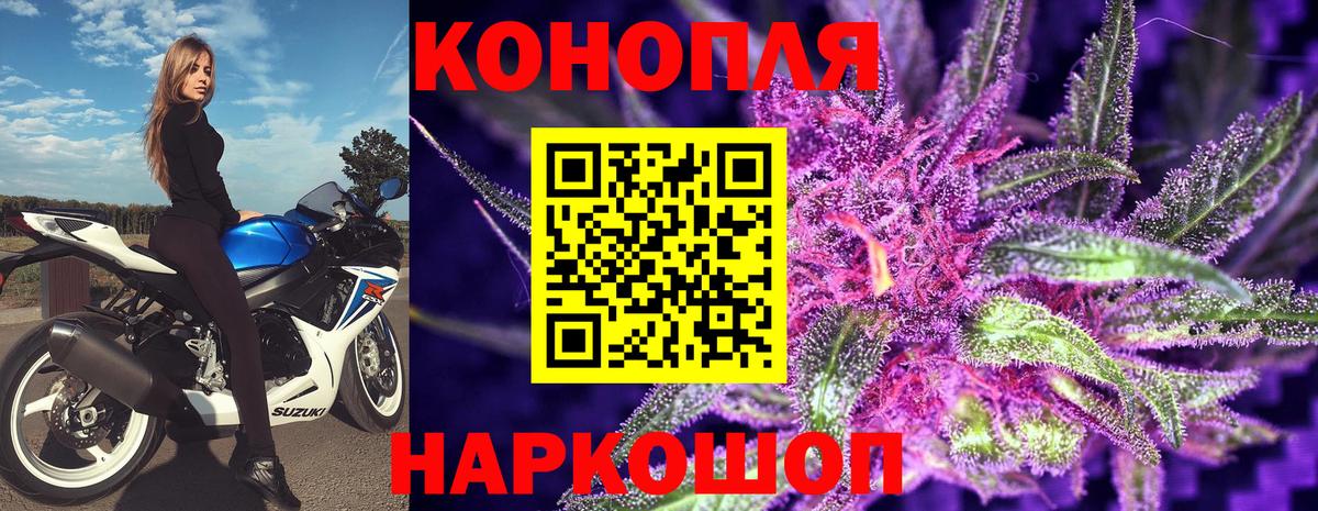Бошки Шишки план Горно-Алтайск